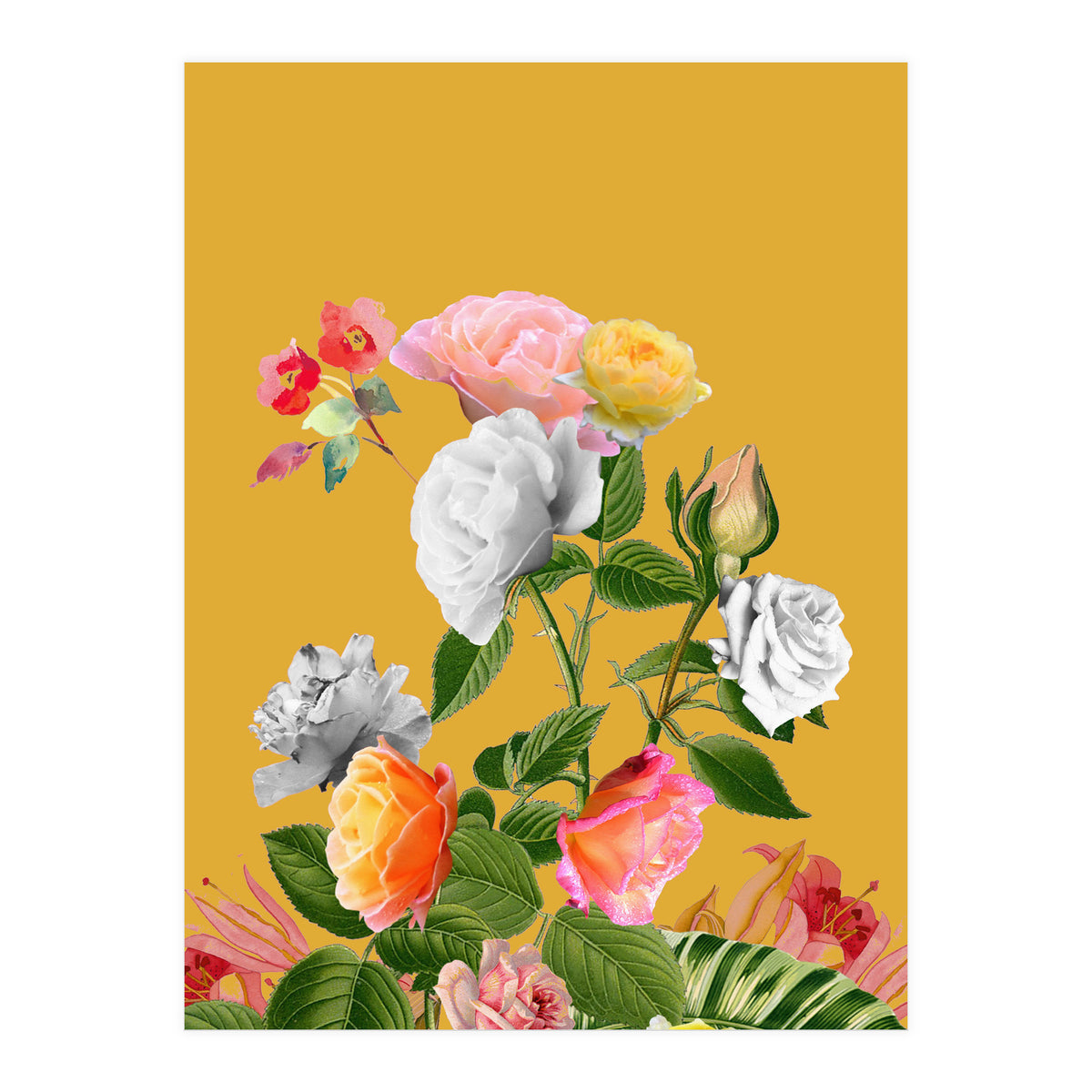 Floral Pop (Print Only)