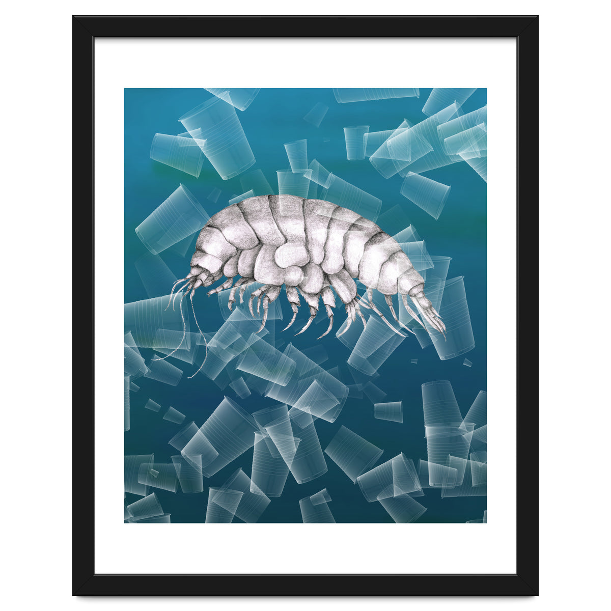 Eurythenes Plasticus