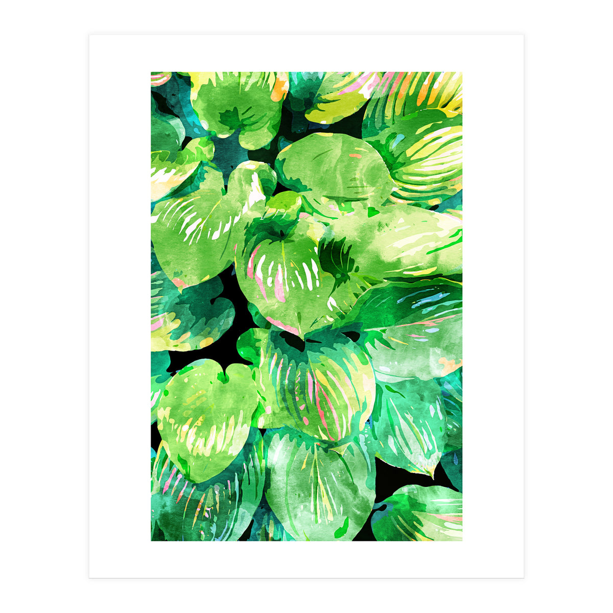 Colors Of The Jungle (Print Only)