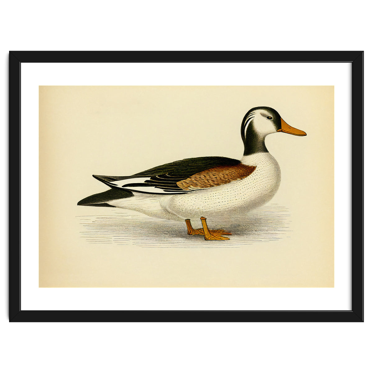 Vintage Duck Painting