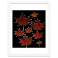 Red Autumn Leaves on Black Ground.