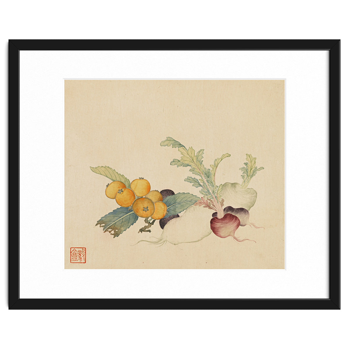 Wang Chengpi~flowers And Vegetables, Vegetables, Fruits, Loquat, White Radish, Carrot, Radish