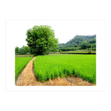 Path  (Print Only) thumbnail