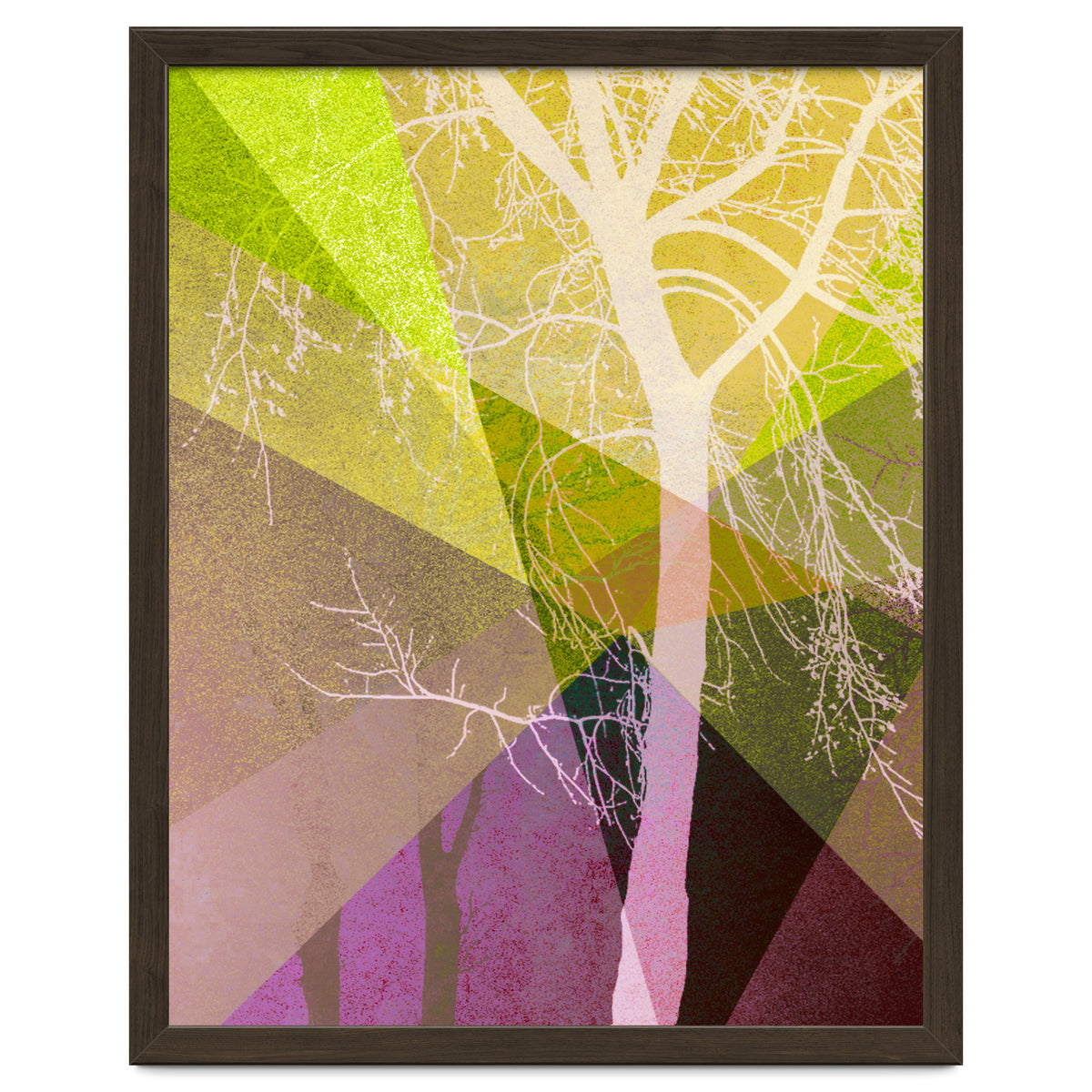 P22 A Trees And Triangles