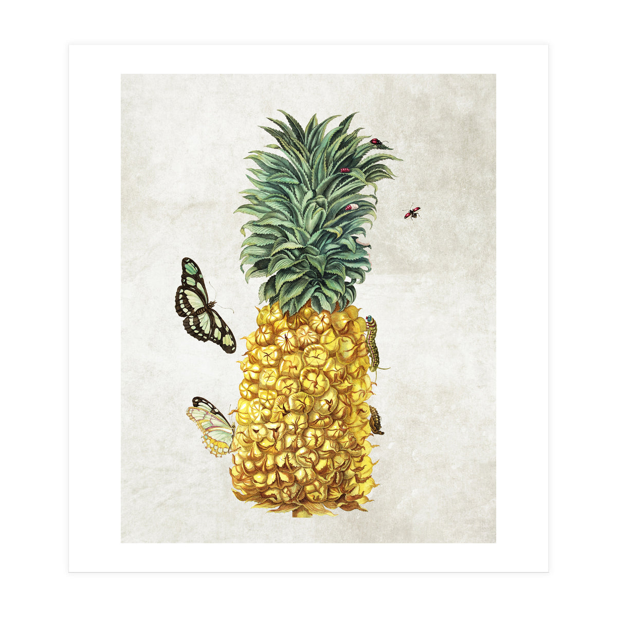 ananas (Print Only)