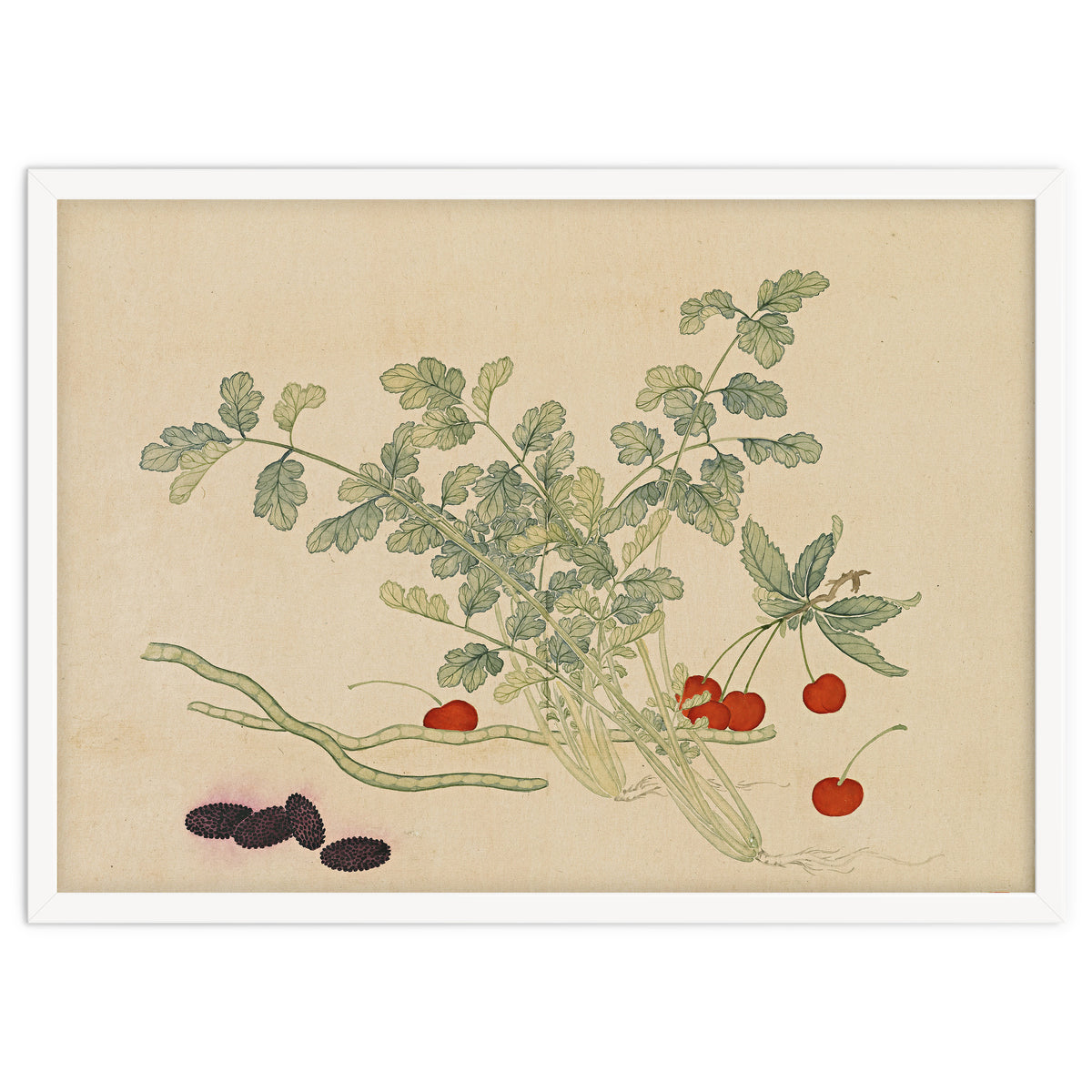 Wang Chengyu~flowers And Vegetables, Vegetables, Fruits, Beans, Red Beans, Cherries, Celery