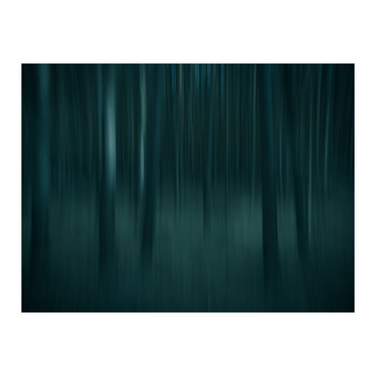 transience  (Print Only)