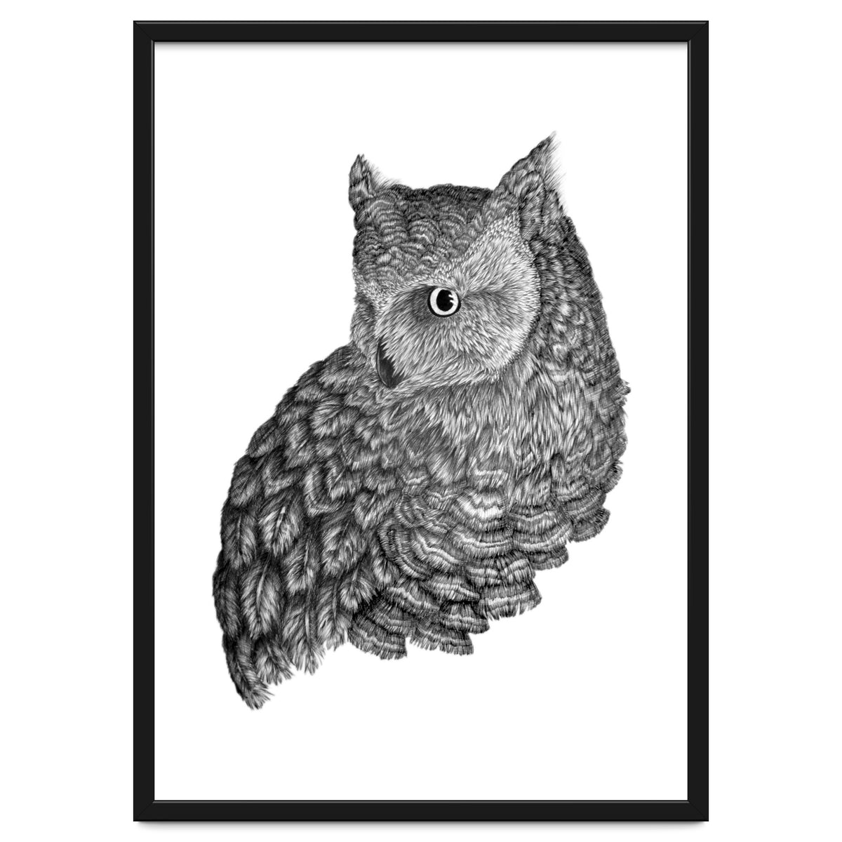 A Friend For Forsythe