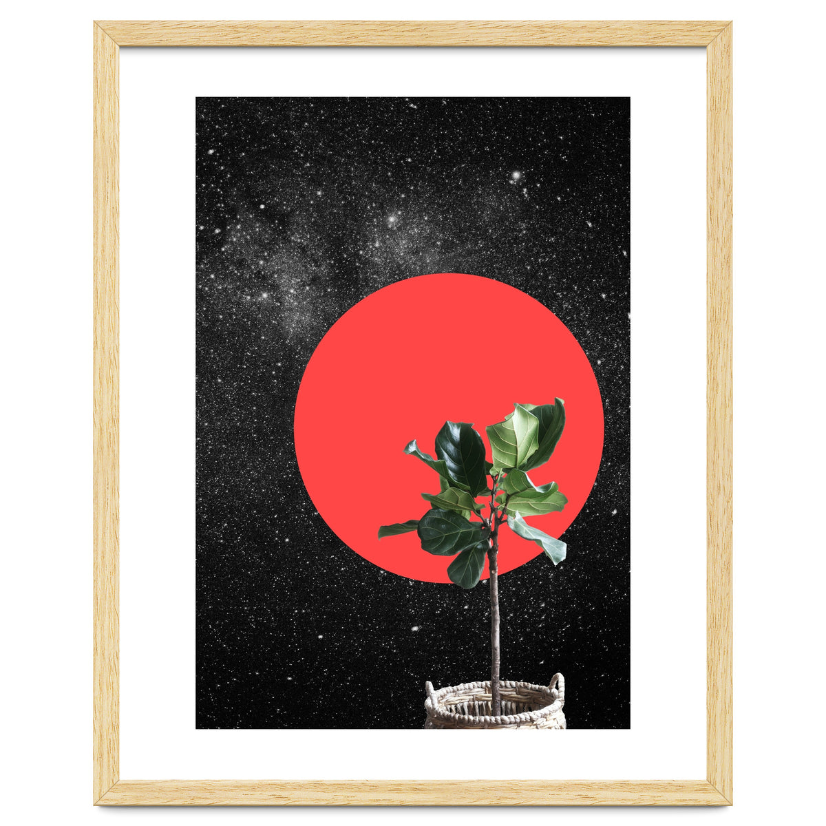"Bonsai" - Digital Collage