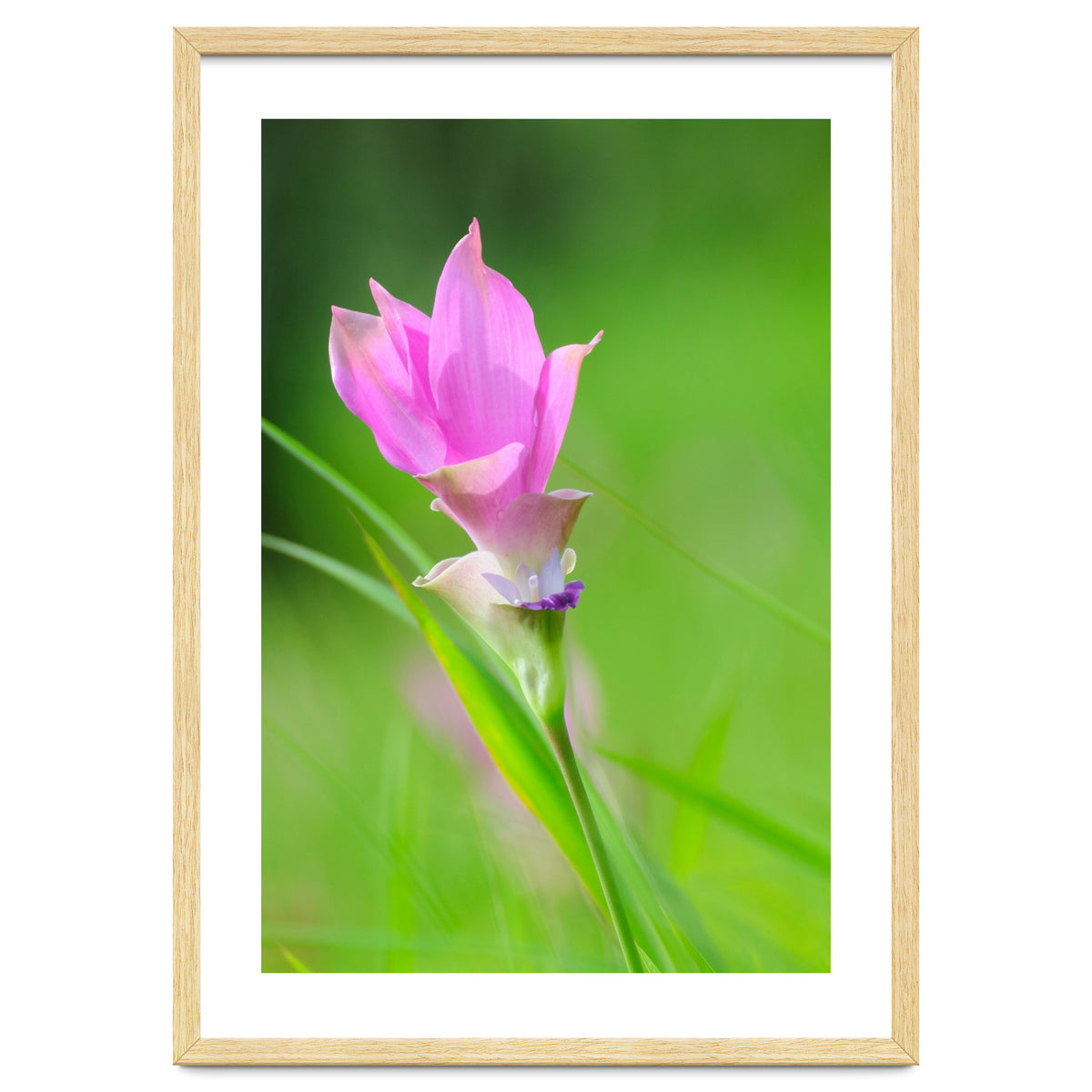 Nature 4000x6000 (12)