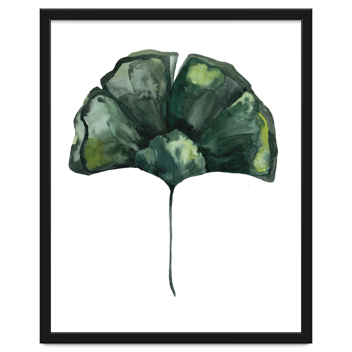 Botanical Illustration Ginko