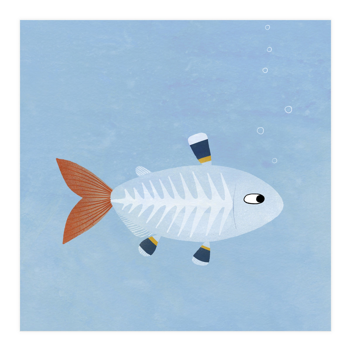 X Ray Tetra (Print Only)