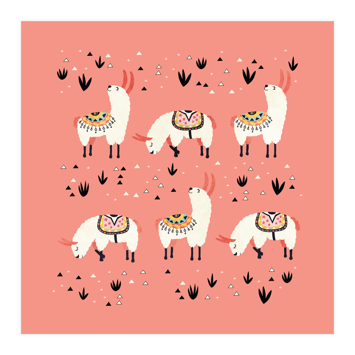 White Llamas In Pink Desert (Print Only)