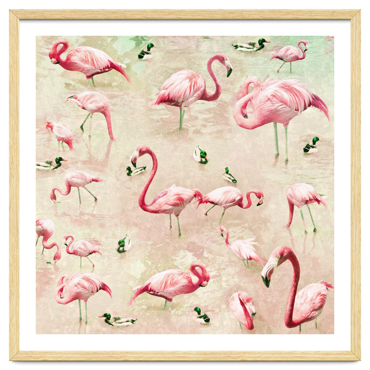 Flamingos Vintage Pink