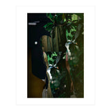 Disappeared Dreams 5 (Print Only) thumbnail