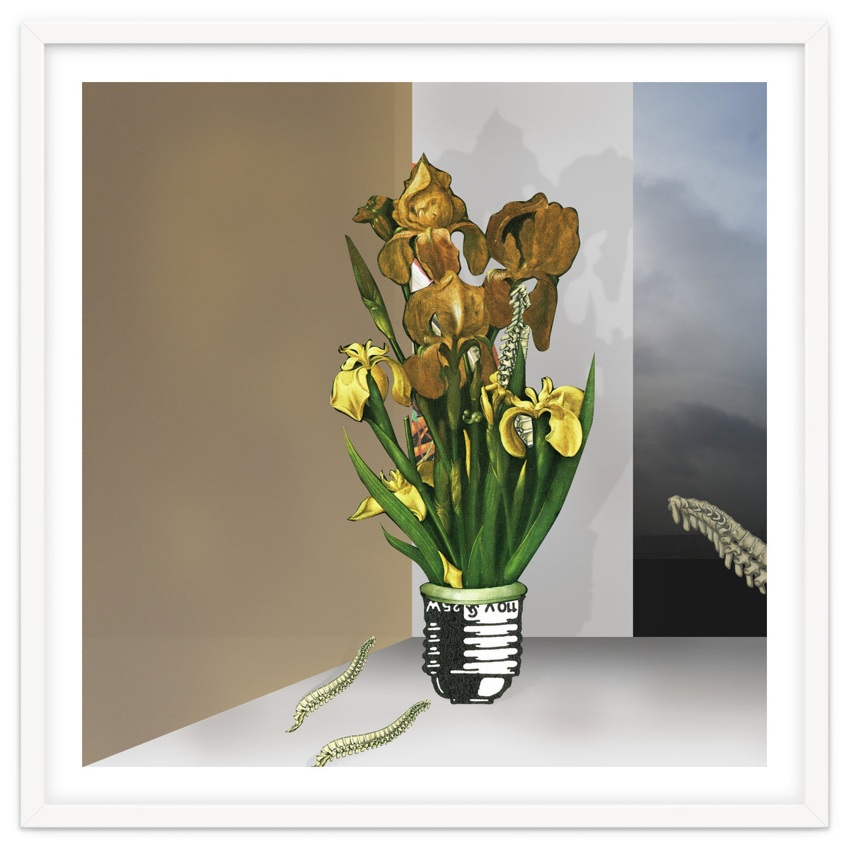 Das Licht Der Pflanze