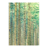 Locked In The Woods (Print Only) thumbnail