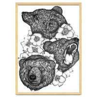 Bears In Bears