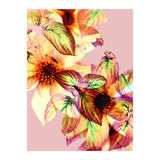Flower Power (Print Only) thumbnail