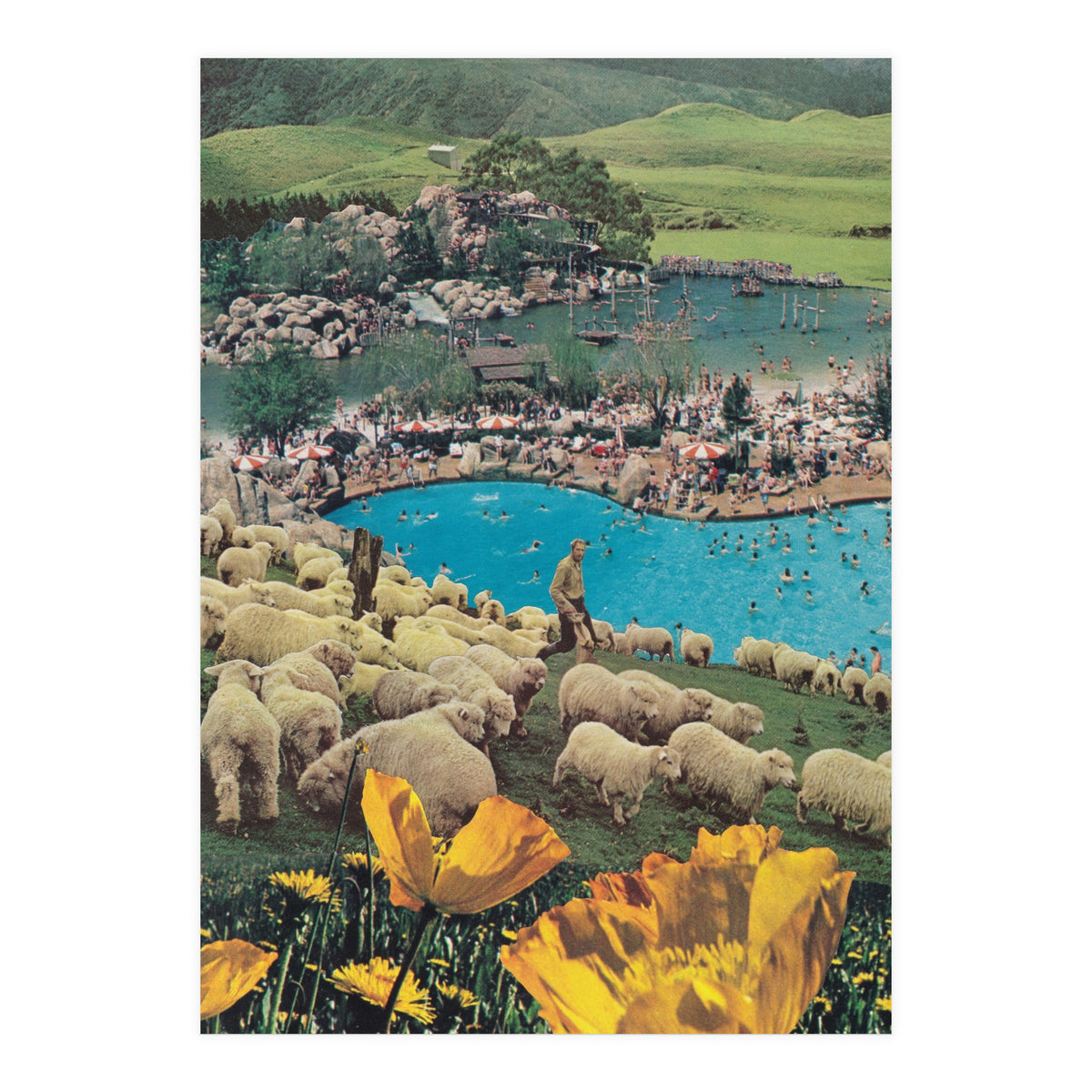 Sheep Farm (Print Only)