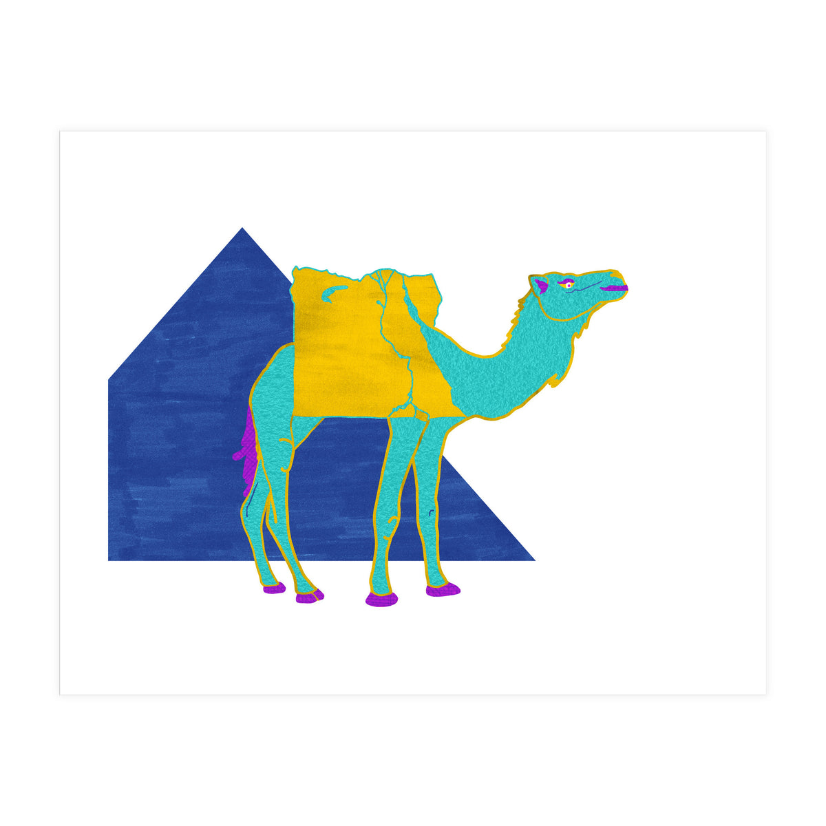 Egyptian Dromedary (Print Only)