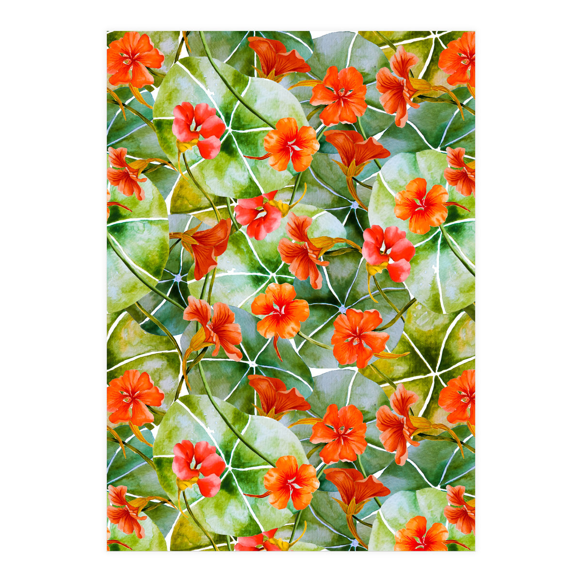 Nasturtiums watercolor 01 (Print Only)