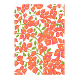 Bougainvillea Blush (Print Only) thumbnail