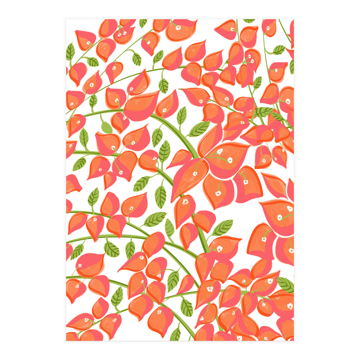 Bougainvillea Blush (Print Only)