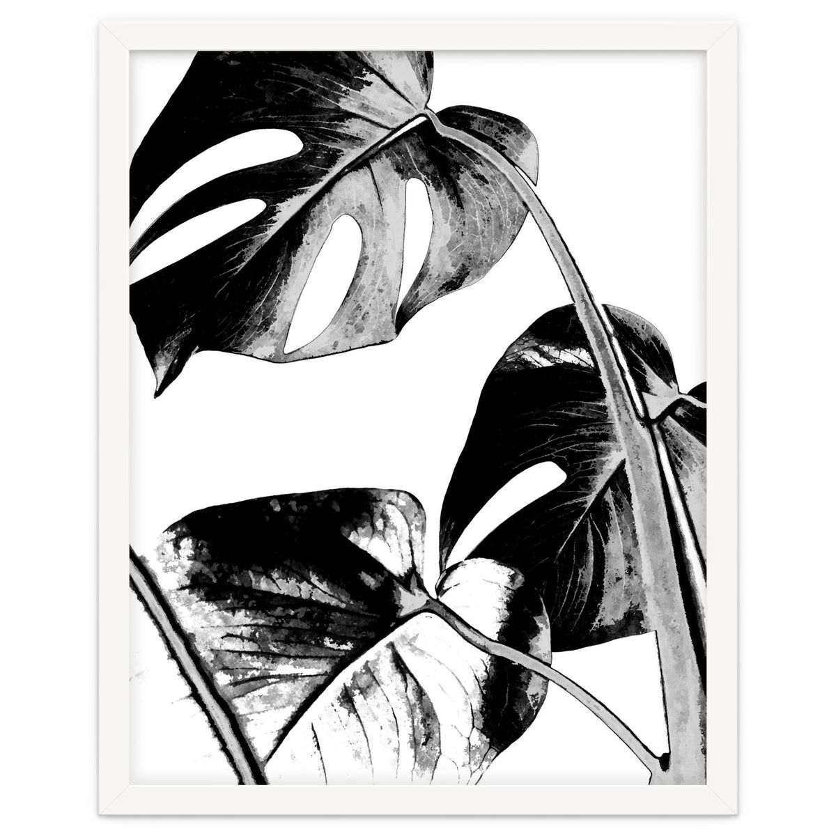 Black Tropical Leaves