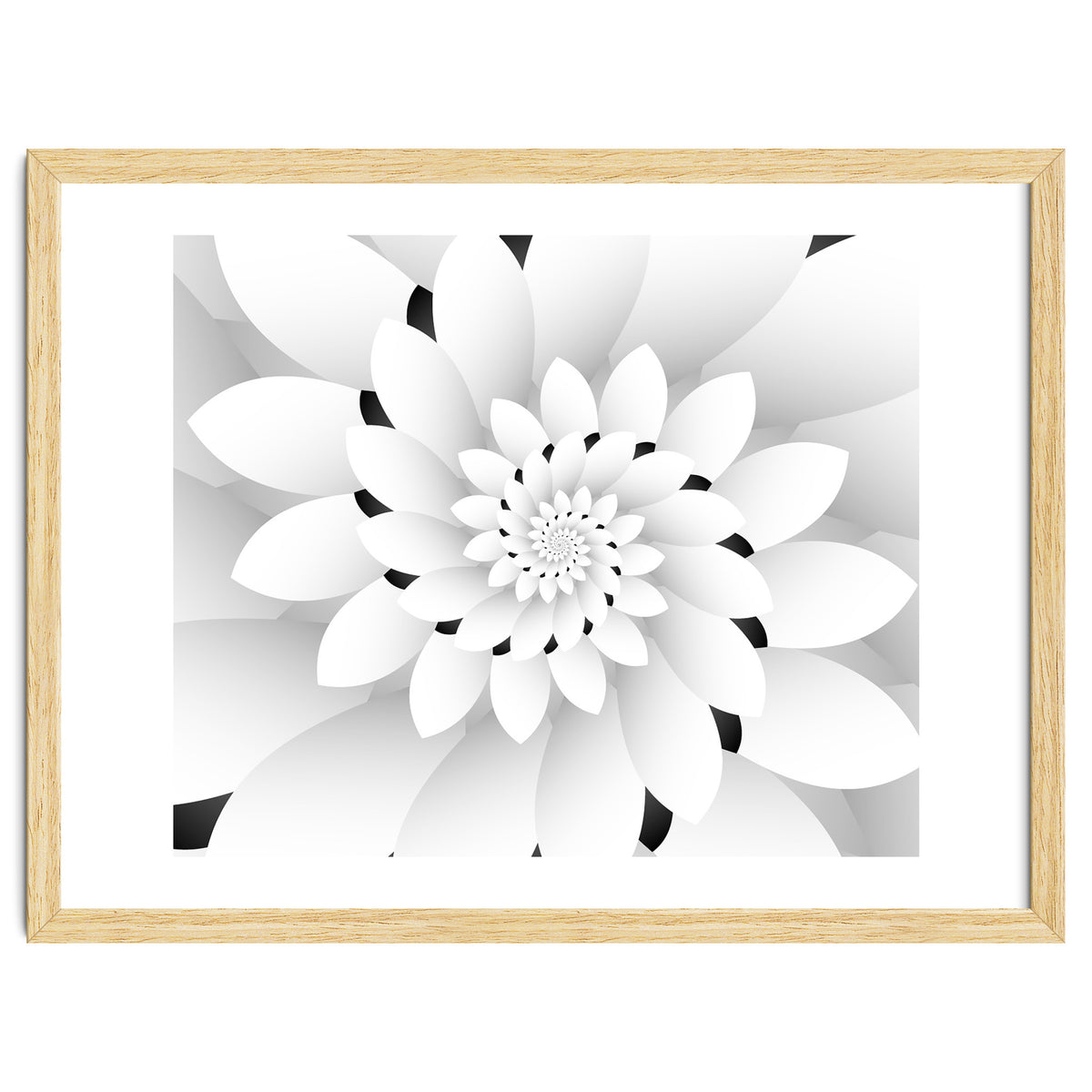 Monochrome Floral Design