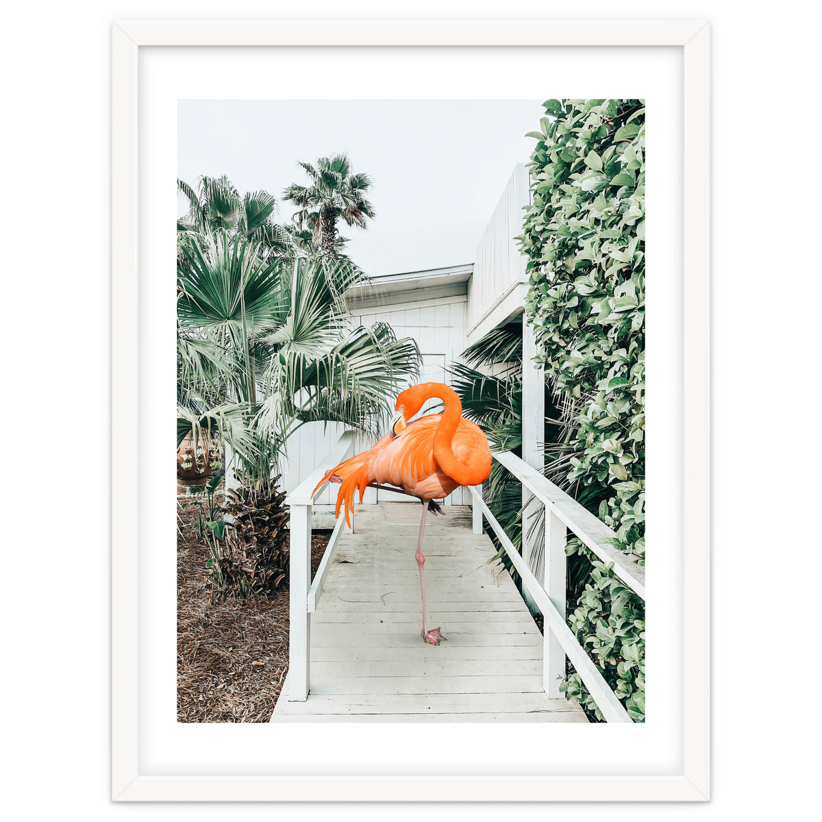 Flamingo Beach House