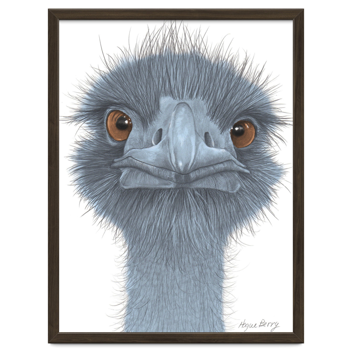 The Blue Emu