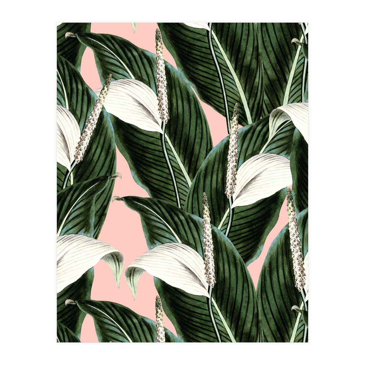 Sweet floral Pothos (Print Only)