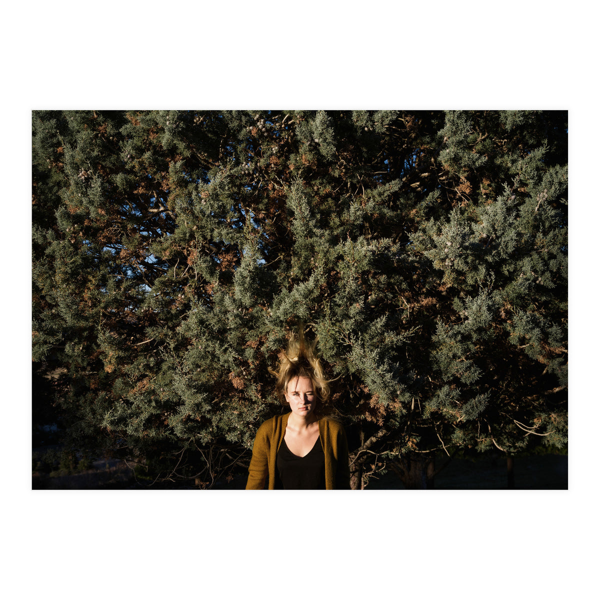 Transition from Summer to Winter (Print Only)