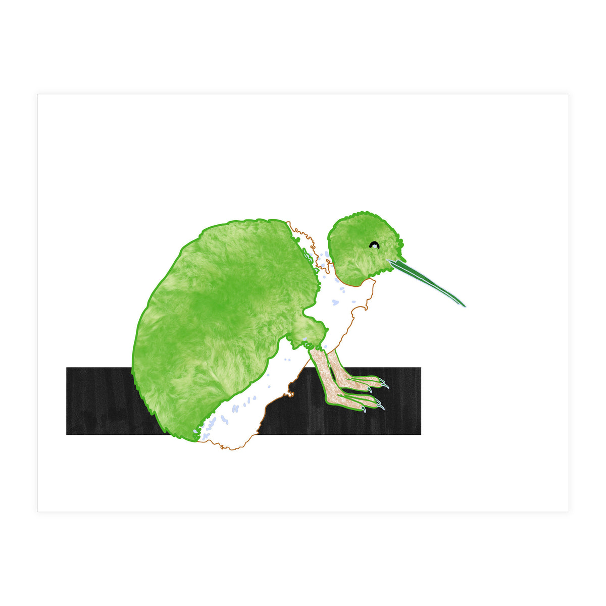 New Zealand Kiwi (Print Only)