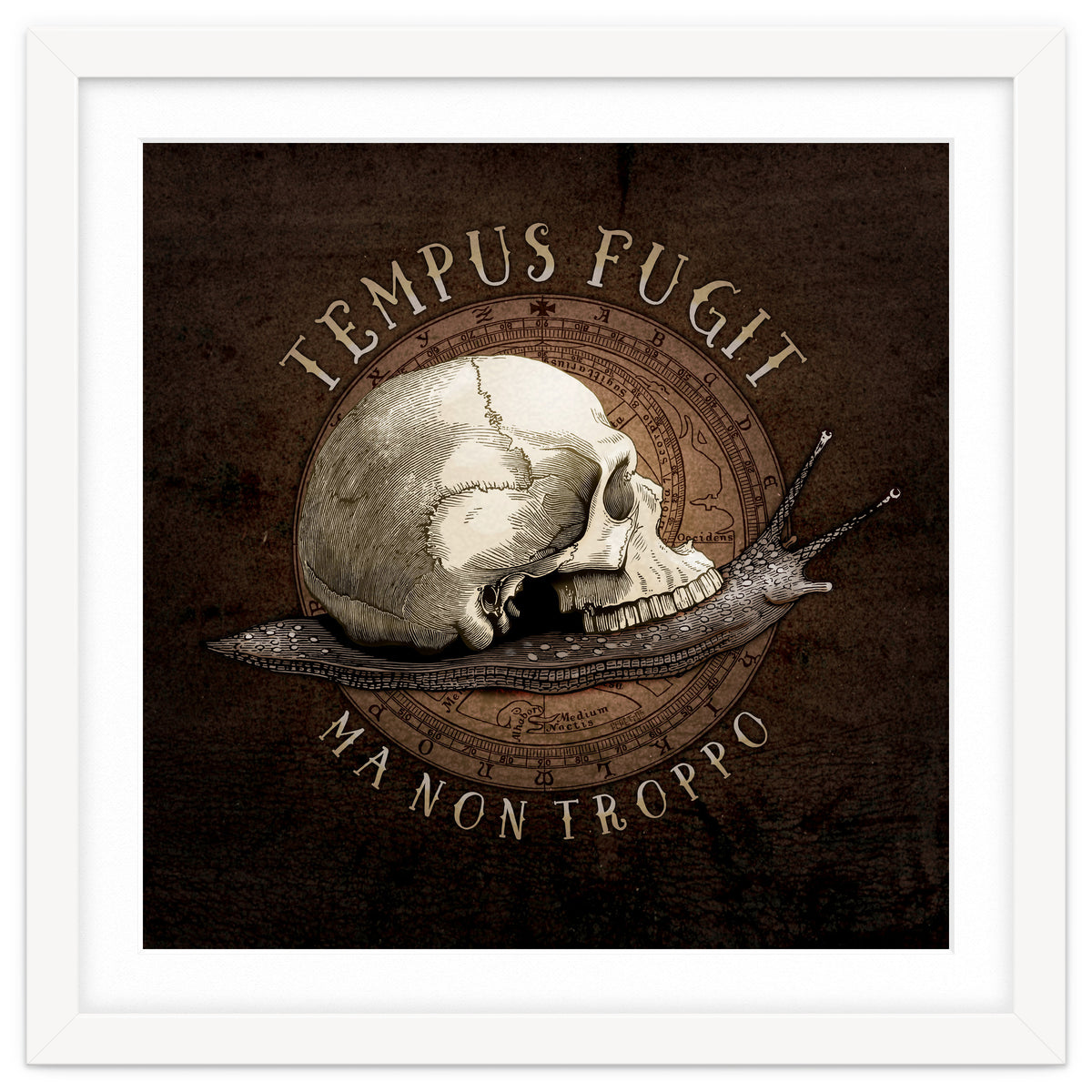 Tempus Fugit (ma non troppo)