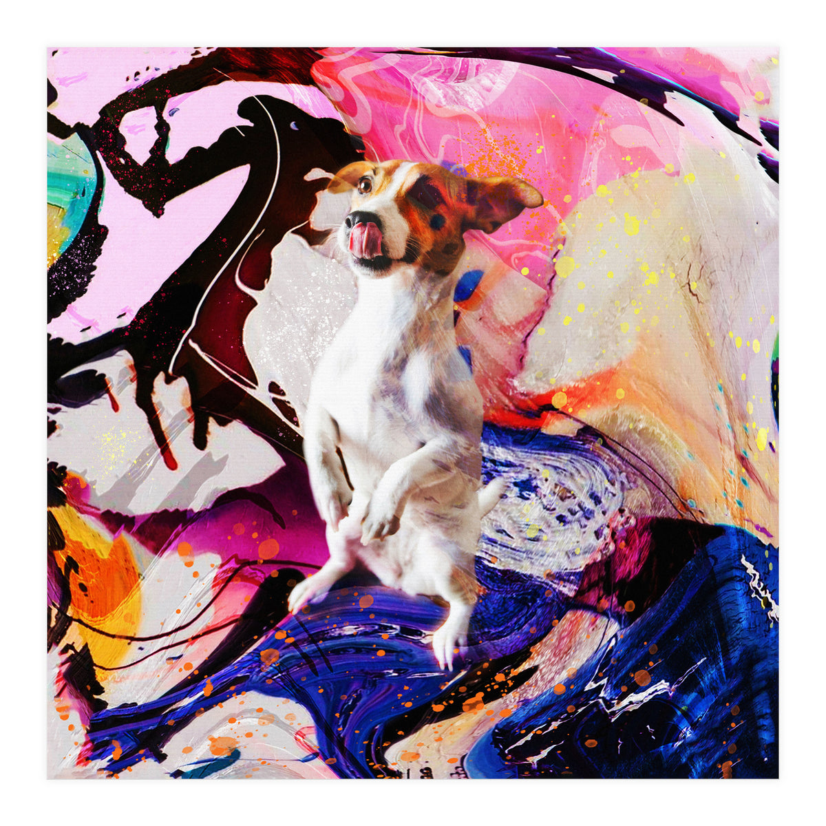 Zycko Color Dog 4 (Print Only)