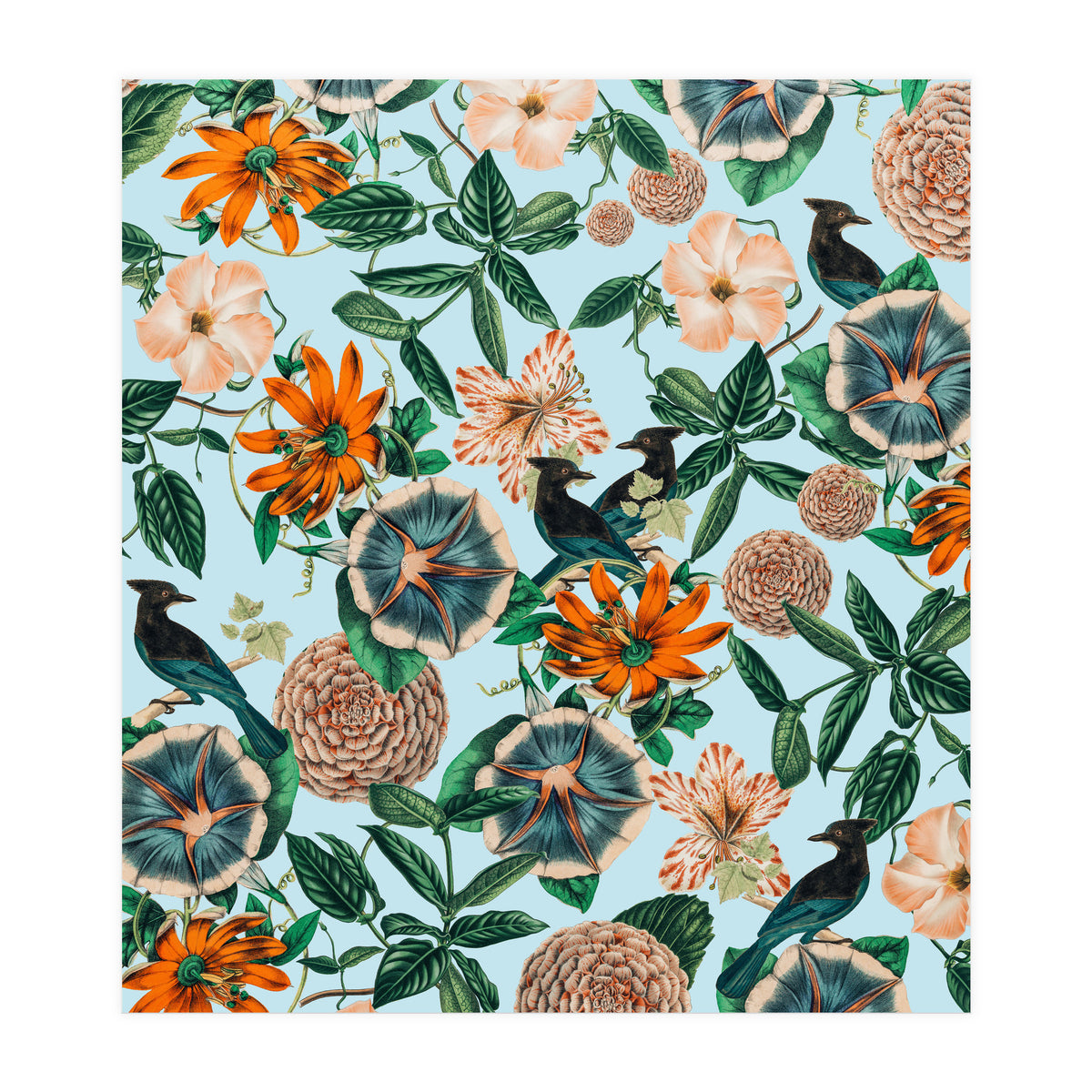 Forest Birds (Print Only)