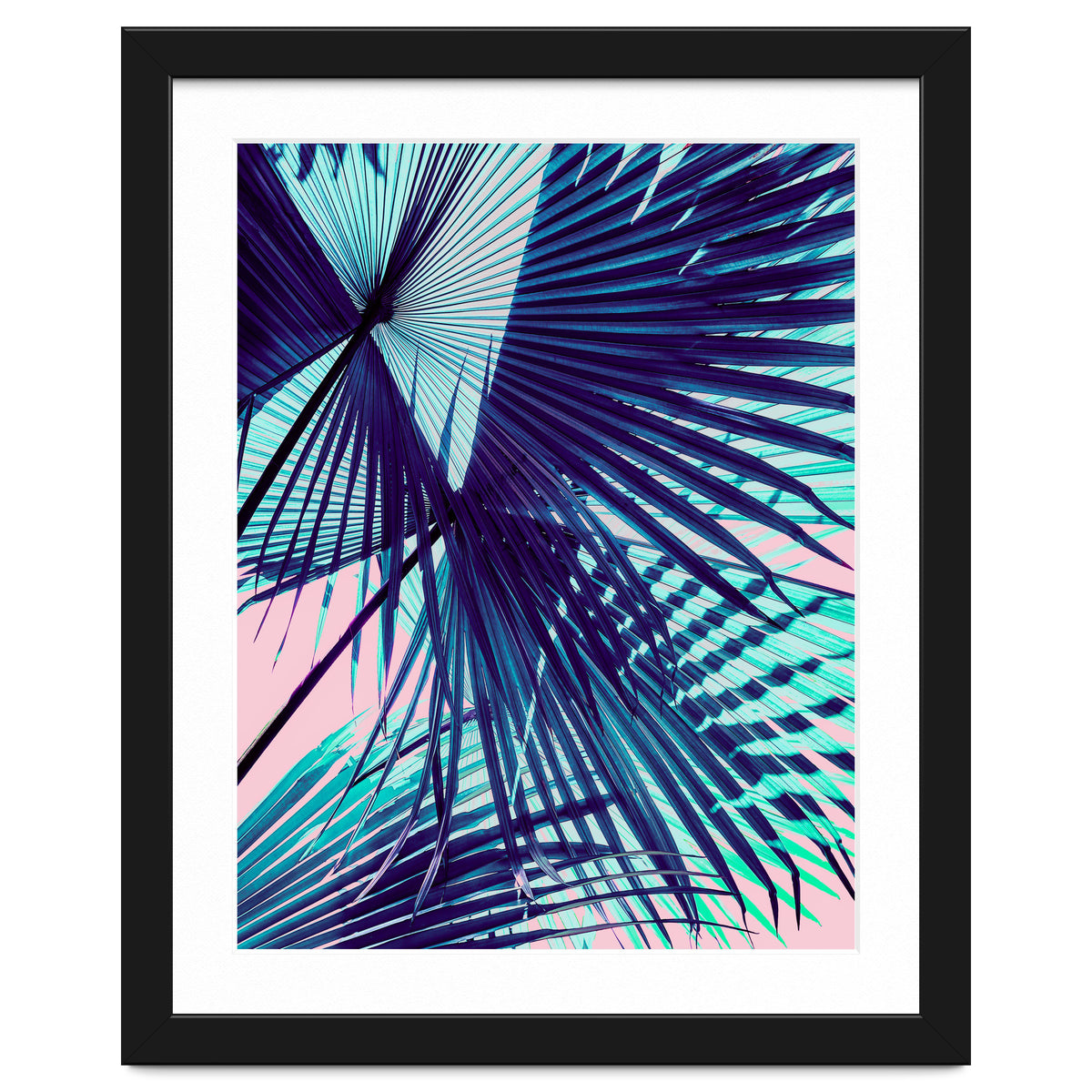 Palm leaf on the beach