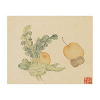 Wang Chengpi ~flowers And Vegetables, Vegetables, Fruits, Epiphyllum, Pears, Peppers (Print Only)