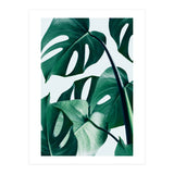 Monstera (Print Only) thumbnail