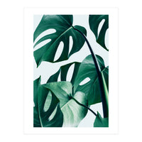 Monstera (Print Only)