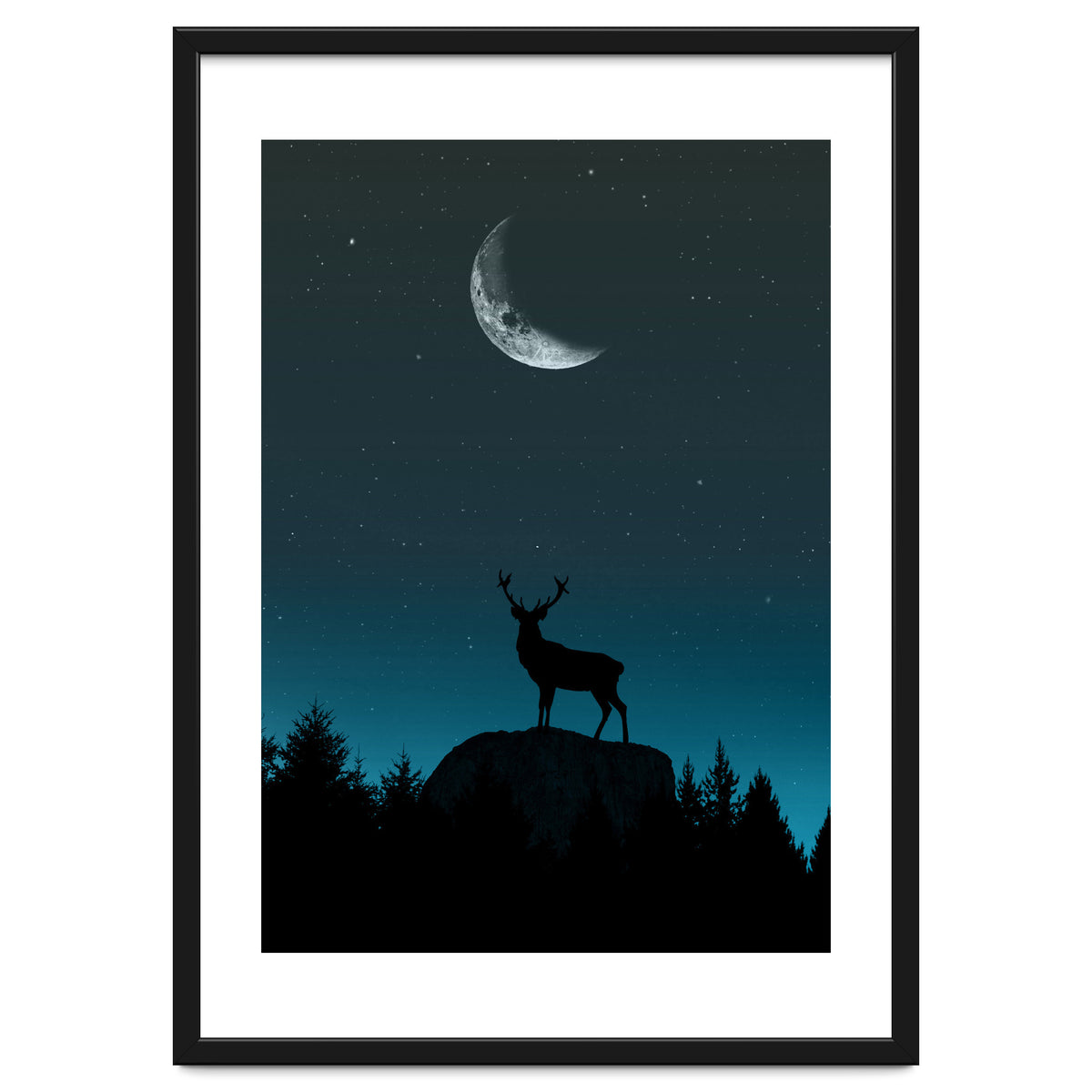 Wild Nature - Nocturne