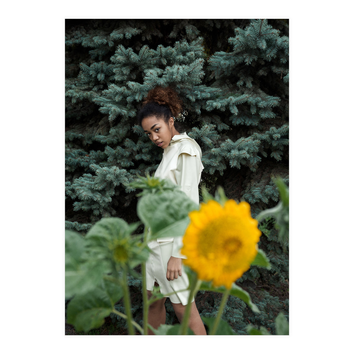 Northern Comfort (Print Only)