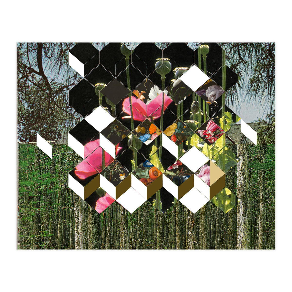 The Green (Print Only)