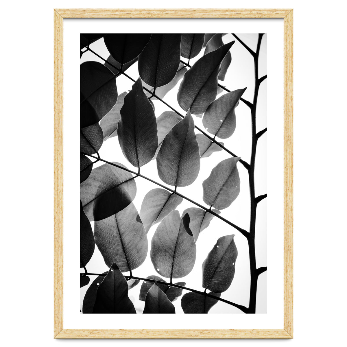 Branches and Leaves II