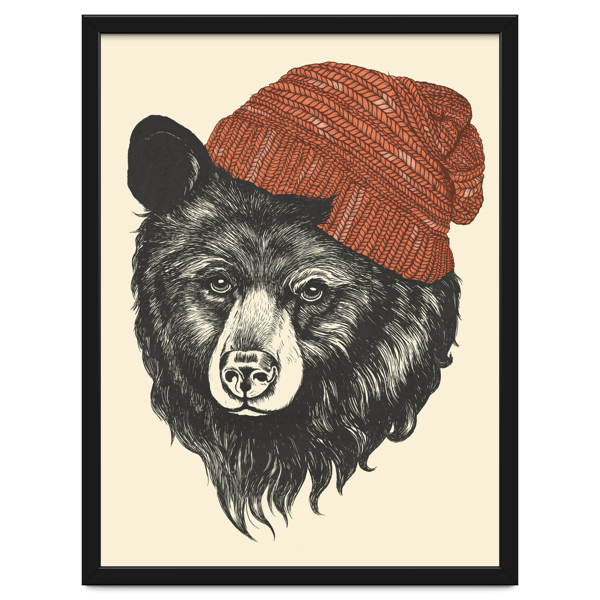 Zissou The Bear