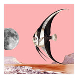 Plenty Of Fish In The Sea Pink (Print Only) thumbnail