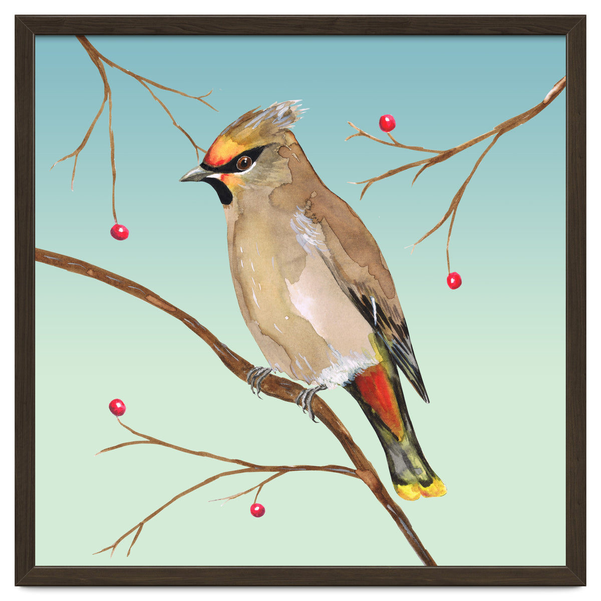 Bohemian waxwing