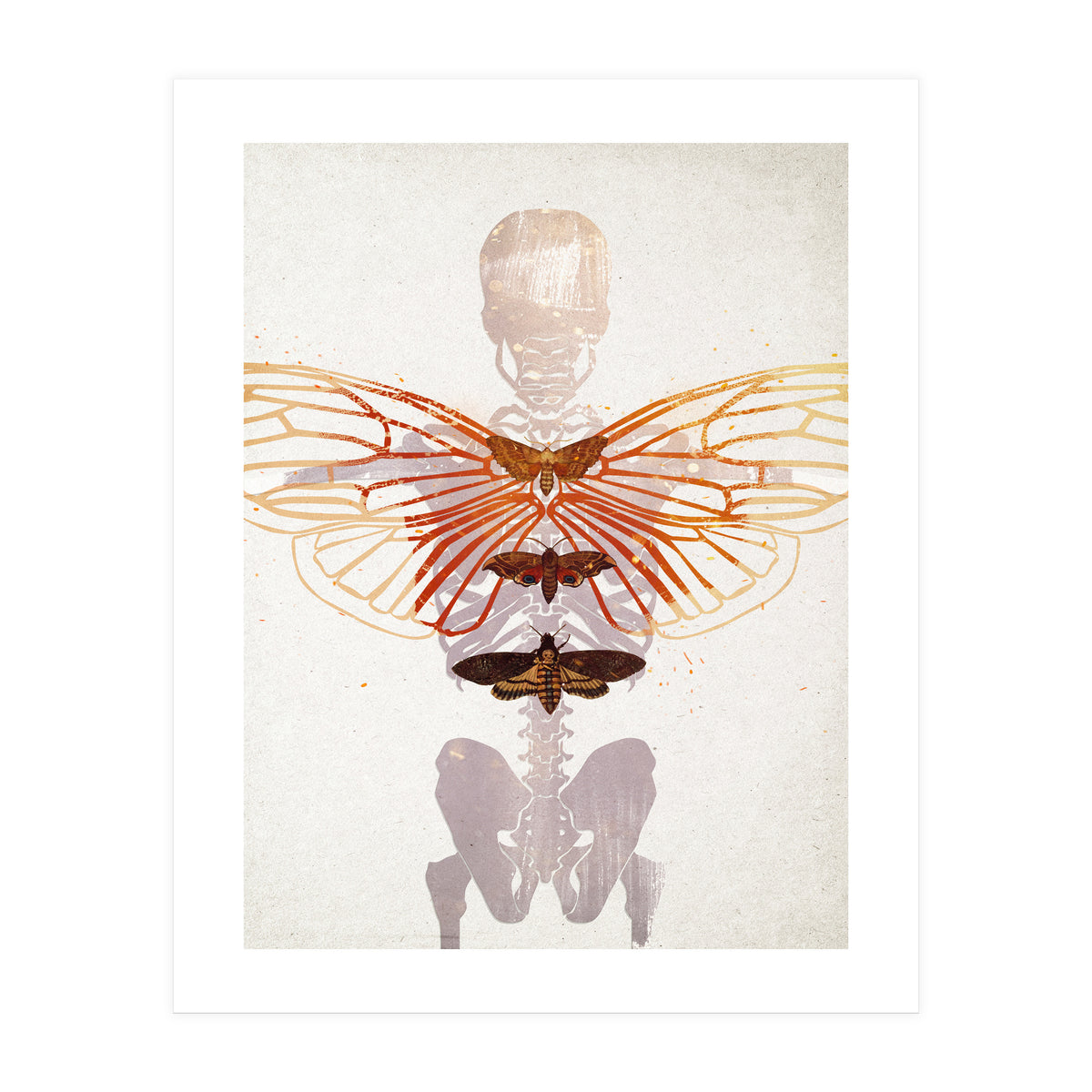 Ikarus - Like a Moth to the Flame (Print Only)